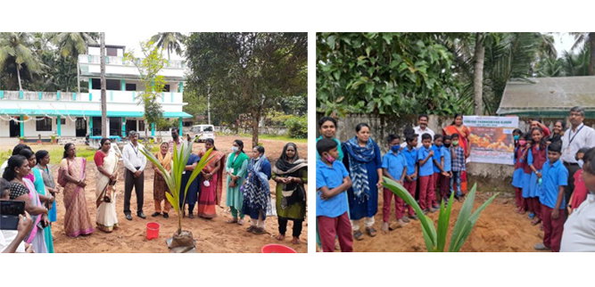 Bharanikavu Panchayat